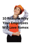 Romex Mobile Workforce Management